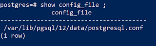 config_file